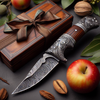 Handmade Damascus Steel Knife Gift Item